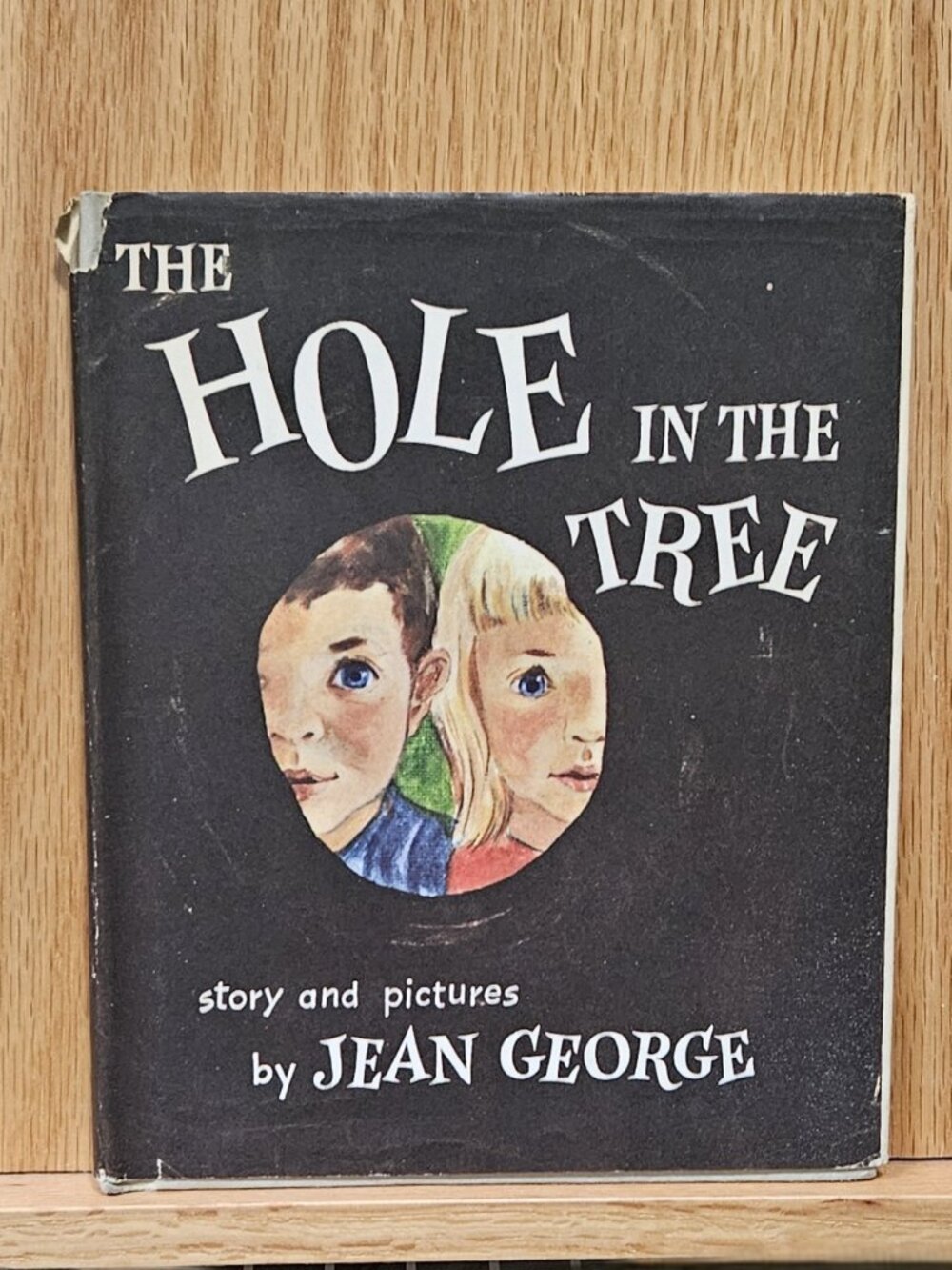 The Hole in the Tree by Jean [Craighead] George